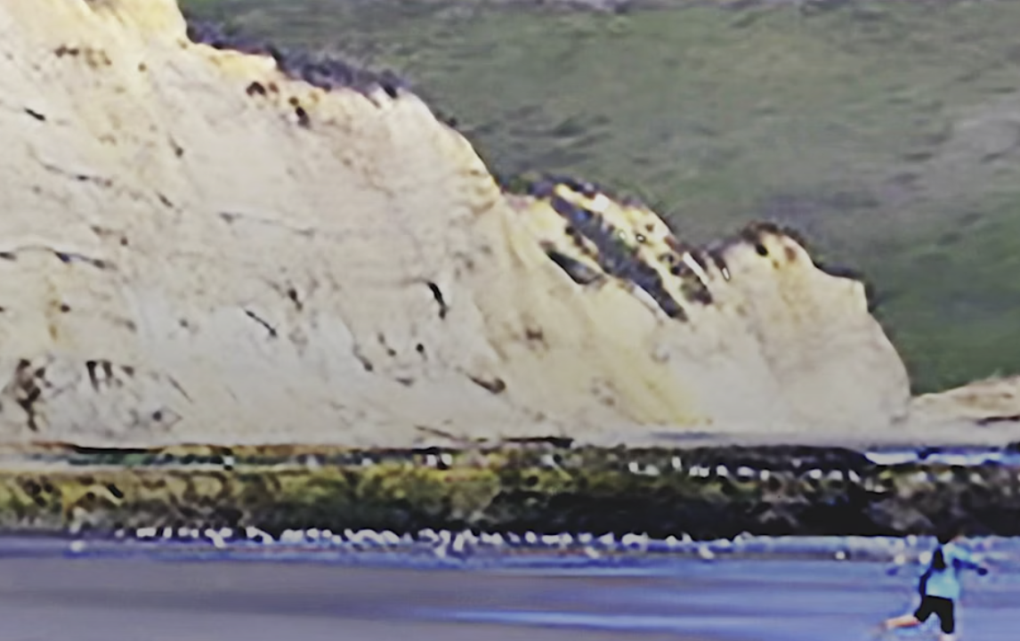 Online Series: Embodying Ecology: Nature as Choreographer with Ken Otter, Ph.D.